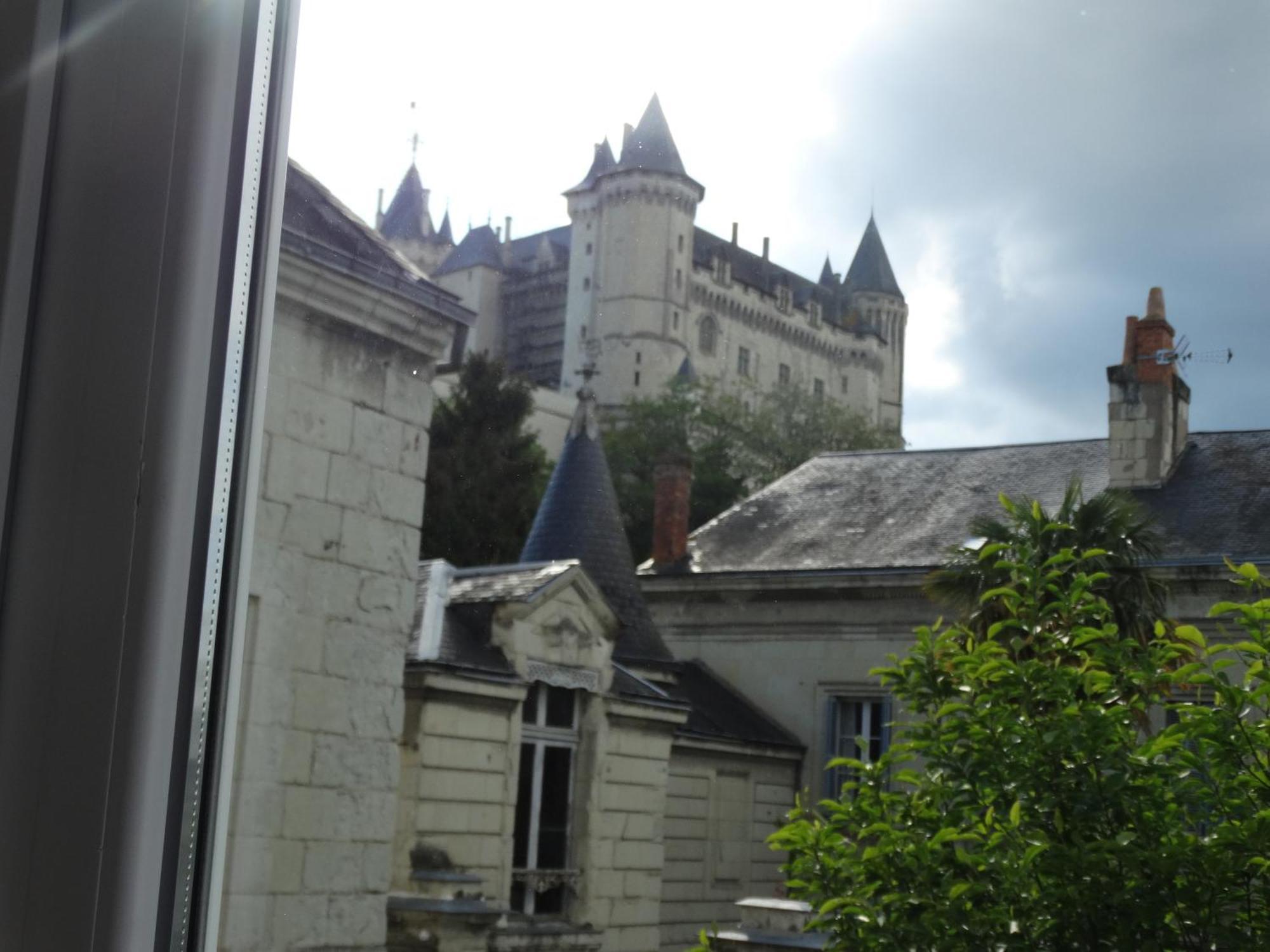 Vue Sur Chateau Et Loire Saumur Eksteriør bilde